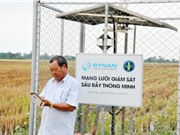 Hệ thống giám sát sâu rầy thông minh